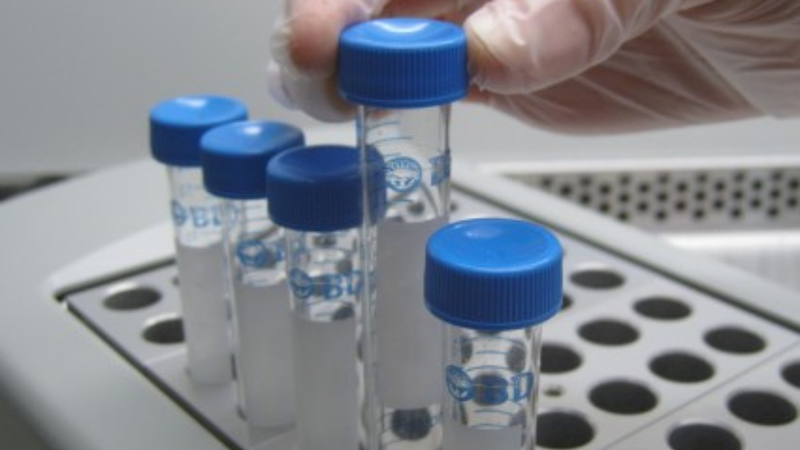 Semovo sperm donor recruitement